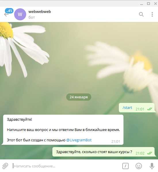 Каналы в Telegram: эффективный инструмент для информационного взаимодействия в бизнесе
